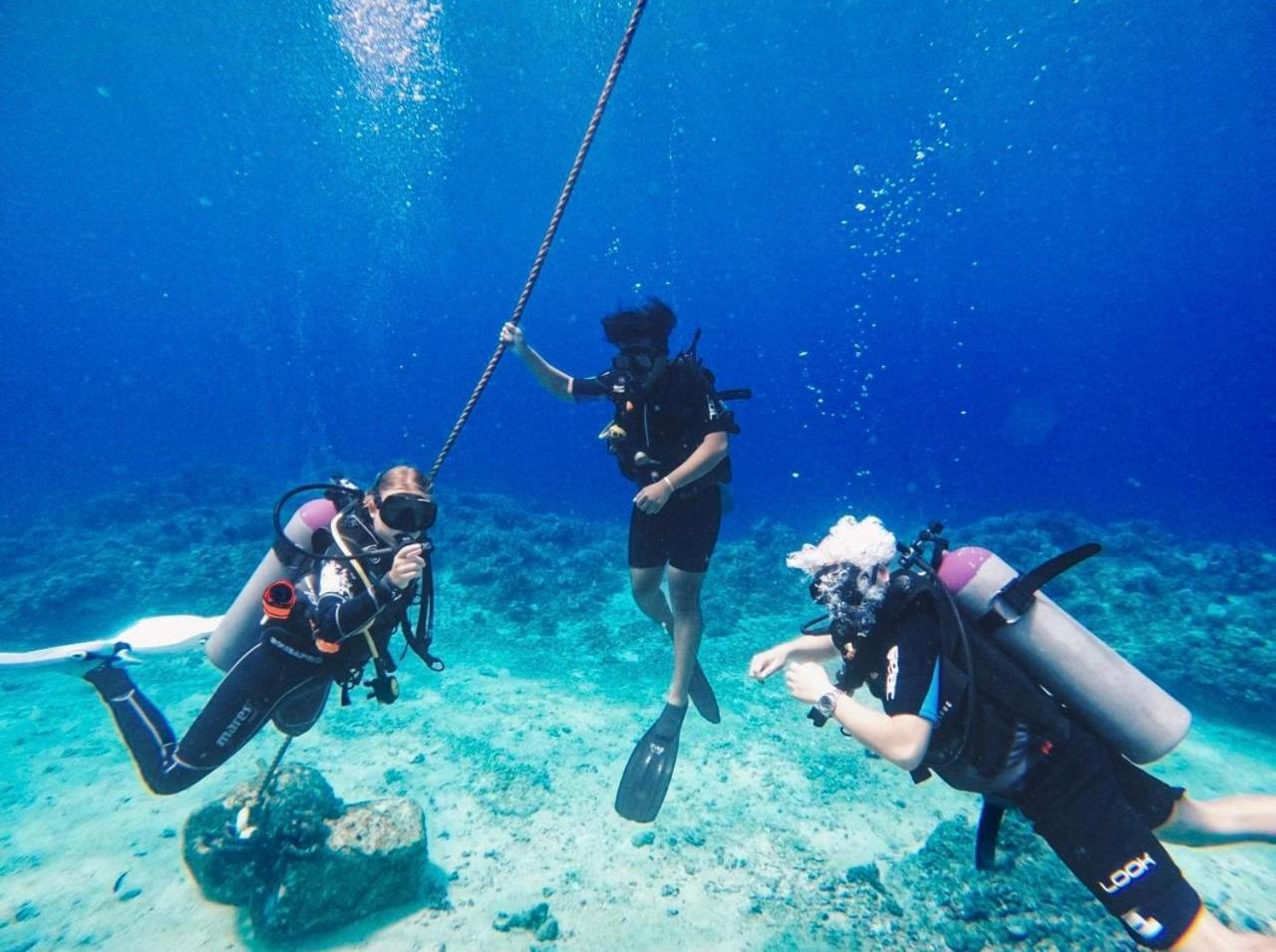 Diversia Diving Club & Bungalows غيلي تراوانغان المظهر الخارجي الصورة